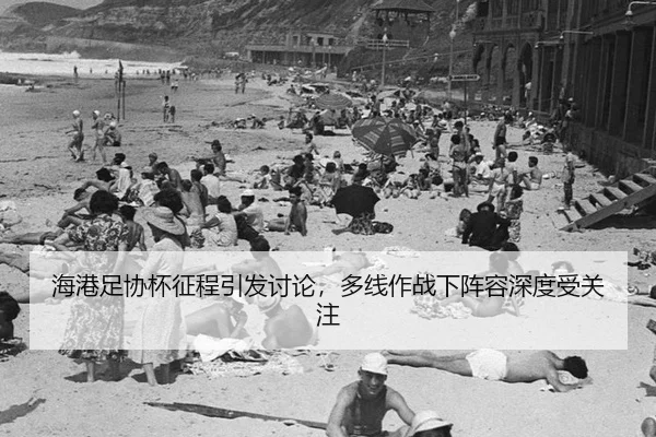 hai-gang-zu-xie-bei-zheng-cheng-yin-fa-tao-lun-duo-xian-zuo-zhan-xia-zhen-rong-shen-du-shou-guan-zhu-2-630.jpg